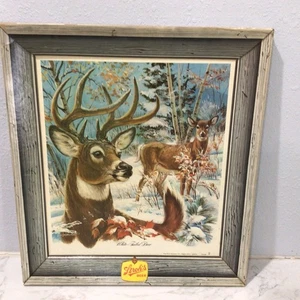 VTG Rare STROH’S Beer WHITETAIL DEER Self Framed WILDLIFE Advertising Bar Sign! - Picture 1 of 7