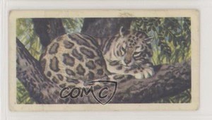 1962 Brooke Bond Asian Wild Life Tea Clouded Leopard #12 0e3