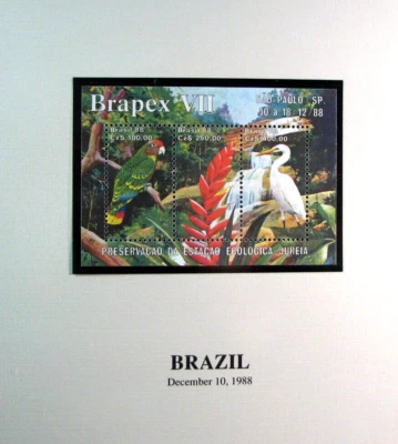 Hoja de recuerdo Brasil Brapex extranjero VII MNH H328 Foto 1 de 2