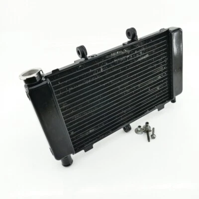 YAMAHA FZ6 FZ6-S RJ07 Fazer radiador radiador de agua solo 9771 km Foto 1 de 4