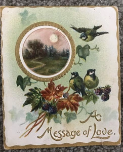 Schöne antike Valentinskarte, geprägt, mit Bluebirds. - Bild 1 von 6