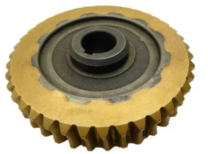 Brass Worm Gear  349428  40 Tooth 1" Steel Bore  NEW - Picture 1 of 11