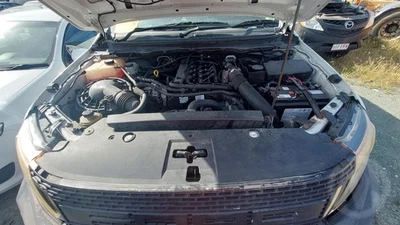 2011 - 2015 Ford Ranger Left Rear Seat Belt - image 1 of 4