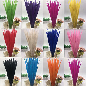 High quality 5-100 pcs natural pheasant tail feathers 10-22 inches / 25-55 cm