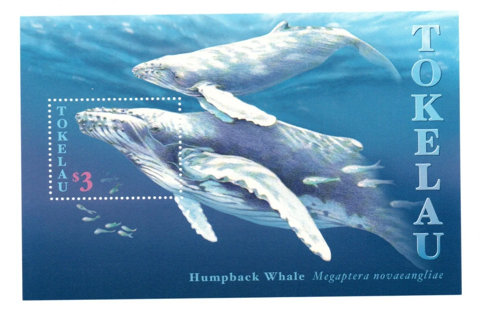 Hoja de estampillas de ballenas/ballenas/pez Tokelau 1997 (Michel Bl. 10) MNH Foto 1 de 1