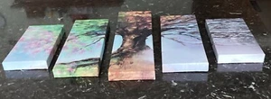 5 Stück Seasons Leinwandplatten - Bild 1 von 3