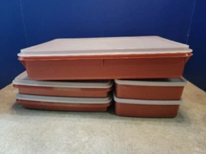 Tupperware Behälter mit Deckel Paprika 5 Stück siehe Bilder schonend gebraucht  - Bild 1 von 10