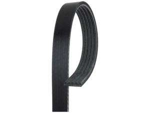 GATES MICRO-V BELT - Foto 1 di 2