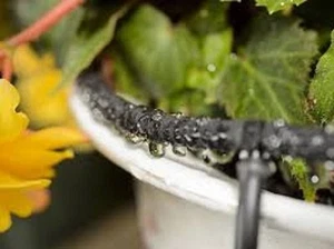 Poröses undichtes Rohr Micro Bore Rohr 100mts à 5mm für Ihre Beete oder Töpfe - Bild 1 von 9