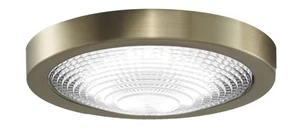 Fanimation Spitfire Ceiling Fan Light Kit in Brushed Satin Brass - Picture 1 of 1