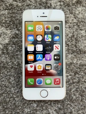 Apple iPhone SE (1st Gen) Tested Unlocked Silver 16 GB 89% Health - Image 1 of 4