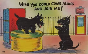 SCOTTISH TERRIER Wish you could join me Dog Humour Postcard - Picture 1 of 2