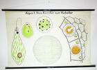 Vintage Role Map Algae I By The Einzeller To Vielzeller Blackboard Gdr Decor (31