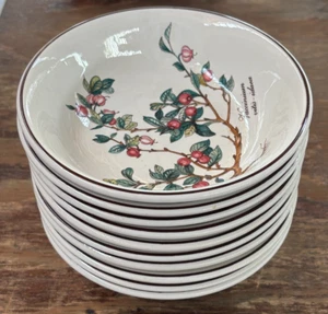 Precioso juego de 10 cuencos todo uso Villeroy & Boch Botanica - Imagen 1 de 8