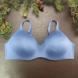 Hanes Bra Size 3XL Blue Padded Wireless Adjustable Clasp Back - Picture 1 of 11