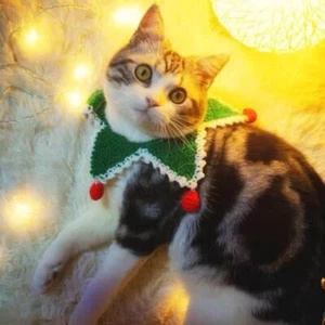Collares de ganchillo a mano estrella de Navidad para mascotas - Imagen 1 de 8