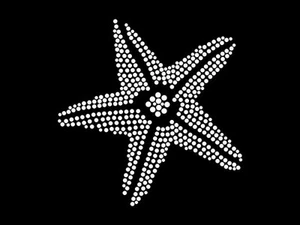 Hot fix diamante vacaciones transferencia de estrellas de mar hierro caliente en motivo para camisetas bolsas - Imagen 1 de 1