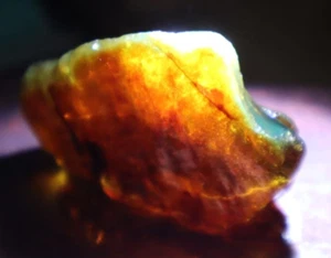 Fines Natural Dominican Crystal Clear Orange Green Amber Rough Specimen 54mm 15g - Picture 1 of 10