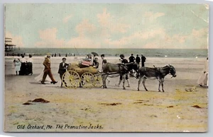1912 Old Orchard Beach, Maine The Peanutine Cart & Donkeys, Boy Vendor Postcard - Picture 1 of 4