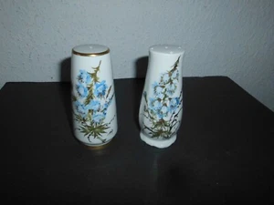 Salz & Pfefferstreuer von Florencia Porzellan Handgemalt 2 er Set Blumenmotive - Bild 1 von 5