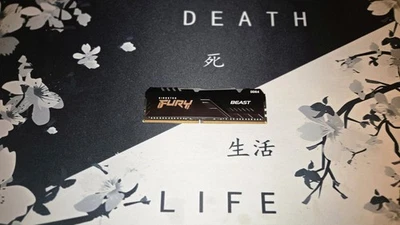 32GB DDR4 3600 RAM RGB • Kingston FURY Beast GAMING ARBEITSSPEICHER, CL18-22-22 - Bild 1 von 3