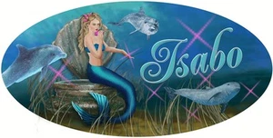 Calcomanía de vinilo para parachoques Mermaid Dolphins personaliza regalos cualquier texto 4" x 8"  - Imagen 1 de 1