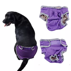 Dog Diaper Washable Comfort Pet Training Short Pants Reusable Female Potty Pads - Picture 1 of 9
