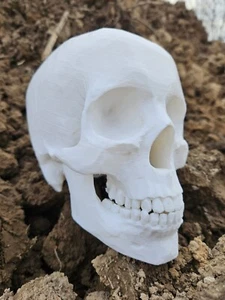 3D GEDRUCKT lebensgroßer menschlicher Schädel Replik-Modell - Bild 1 von 3