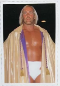 Hulk Hogan Ted DiBiase 1982 Gong Magazine Wrestling Card - Picture 1 of 8