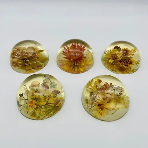 5 Vintage Lucite Sphere Paperweights Dried Preserved Flowers 2.5" Glow Green - Picture 1 of 13
