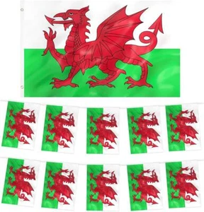 Wales Team Decorations Wales Flag or Wales Bunting Rugby Six Nations Decorations - Picture 1 of 11