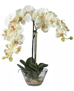 Nearly Natural 265683 Phalaenopsis Flower Arrangement with Glass Vase - Picture 1 of 2
