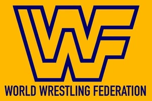 WWE GIGANTE 24”x36” VINILO PESADO ARENA BANDERA FEDERACIÓN MUNDIAL DE LUCHA LIBRE WWF - Imagen 1 de 1