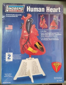 Lindberg 71309 Life Size Human Heart Anatomical Model Kit New in Sealed Box - Picture 1 of 2