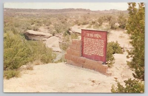 1966 Cartolina La Grande Primavera Texas TX - Foto 1 di 2