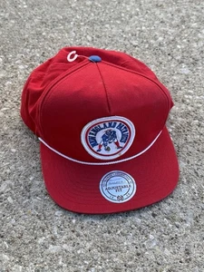 New England Patriots Mitchell & Ness Vintage Collection Snapback Hat Retro Logo - Picture 1 of 9