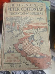 The Bedtime Story Books The Adventures of Peter Cottontail 1919 - Picture 1 of 18