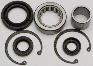 All Balls Racing Inner Primary Bearing and Seal Kit 25-3101 Harley - Picture 1 of 1