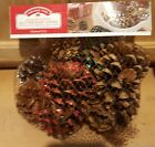 Holiday Time Cinnamon Scented Multi Color Glitter Pine Cones - 3 Dry Quarts