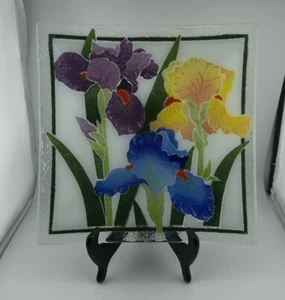 Peggy Karr 10" Square Iris Fused Art Glass Plate Multi-Colored Signed - Picture 1 of 7