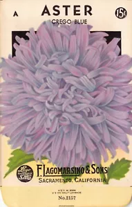 Paquete de semillas vintage: Blue ASTER, Lagomarsino & Sons, Sacramento, años 40 - Imagen 1 de 2