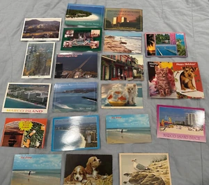 Vintage Postcard Lot Florida Louisiana Sea Life Pets Collection of 20 Unused - Picture 1 of 15