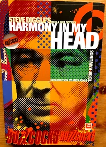 Steve Diggle's Harmony In My Head By Terry Rawlings P/B Book Biography Buzzcocks - Picture 1 of 3