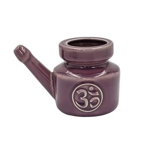 Neti Pot Nasenreinigungskanne Nasenkännchen Nasenspülkännchen 400 ml Lila - Bild 1 von 1