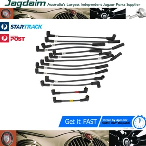 New Jaguar XJ40 V12 XJS V12 6.0 Litre Ignition Plug Lead Set LHD1509AA - Bild 1 von 1