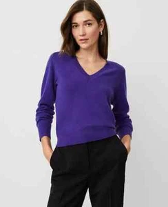 Ann Taylor Womens Small 100% Cashmere Sweater V-Neck Lightweight Purple NEW - Picture 1 of 2