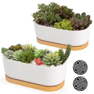 White Ceramic Succulent Plant Pots, Indoor and Outdoor Succulent Planters, Se... - Picture 1 of 7