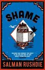 Shame GC English Rushdie Salman Vintage Publishing Paperback  Softback