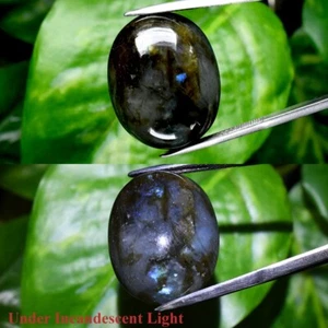 Big! 40.53ct Oval Cabochon Natural Rainbow With Luster Labradorite Gemstone - Picture 1 of 6