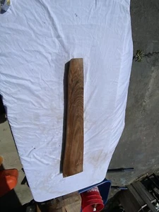 BEAUITFUL curly English Walnut 0228 Kiln Dried gunstock blank - Picture 1 of 9